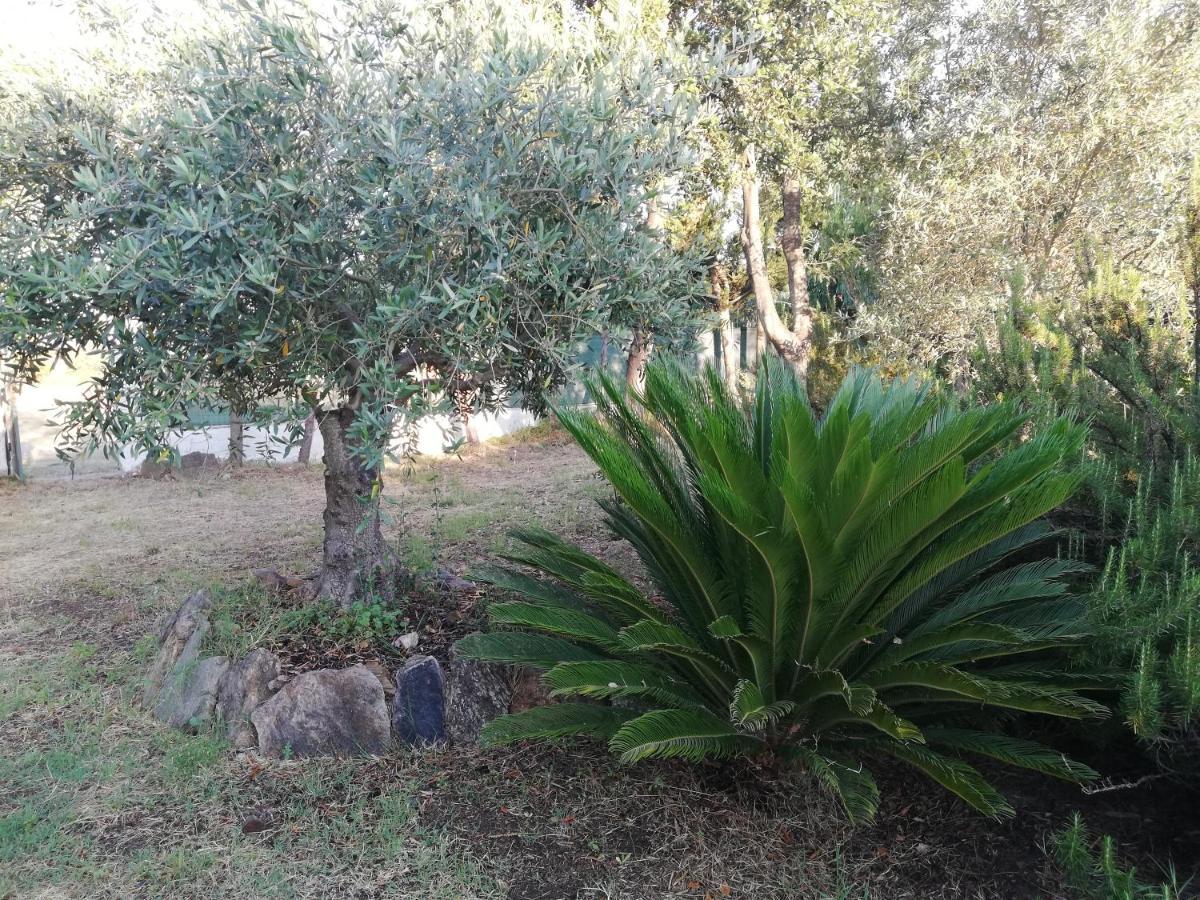Appartement La Cuppulata à Budoni Extérieur photo
